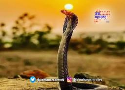 आज पहिला श्रावणी सोमवार, शिव मंदिरं भाविकांनी गजबजली
