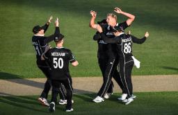 NZvsIND, 2nd ODI : जडेजाची एकाकी झुंज, अटीतटीच्या सामन्यात टीम इंडियाचा पराभव, मालिका गमावली