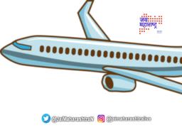 विमानात वैमानिकाला चोपले