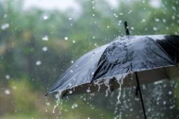 येत्या 48 तासांत महाराष्ट्रात पुन्हा जोरदार पावसाची शक्यता!