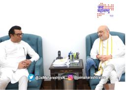 राज आणि अमित शाह भेटीआधी घडलं काय ?