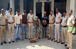 खवल्या मांजरीची तस्करी करणाऱ्या आरोपींना रंगेहात अटक