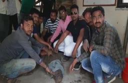 कोल्हापूर- सांगली जिल्ह्यात आता पुरात वाहून आलेल्या मगरींचा धोका