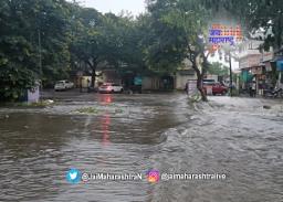 विदर्भ, मराठवाड्यात पावसाचा धुमाकूळ