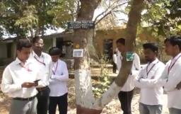 अमरावतीच्या प्राध्यापकांची किमया, कॉलेजमधील  झाडं चक्क बोलू लागली