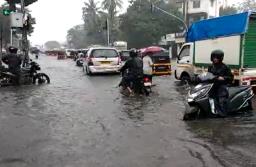 राज्यातल्या बहुतांश भागात पावसाची दमदार हजेरी