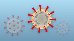 यवतमाळ जिल्ह्यात 76 रुग्णांनी केली कोरोनावर मात