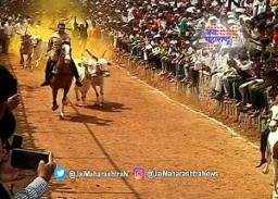 अमोल कोल्हेंची बैलगाडा शर्यतीत रुबाबदार एन्ट्री