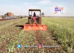 कांद्याला भाव नसल्यानं फिरवला ट्रॅक्टर