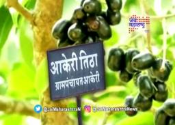 कोकणातील जांभूळ बाजारपेठ सुनीसुनी