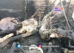 घर, गोठ्याला आग लागल्याने सर्व खाक