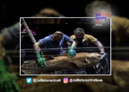 डायनासोर काळातील मादागास्कर बेटांवर fossil fish जिवंत सापडला …