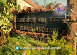 ताडोबा व्याघ्र प्रकल्प आजपासून ५ दिवस पर्यटकांसाठी खुला