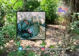 नवी मुंबईत आढळली बॉम्ब सदृश्य वस्तू