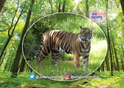 नवेगाव – नागझिरा व्याघ्र प्रकल्प जुलैपासून बंद