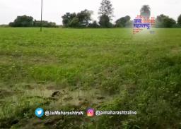 नागपुरात अतिवृष्टीचं संकट