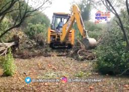 नापिकीला कंटाळून शेतकऱ्यांनी केली ४५० संत्र्याच्या झाडांची कत्तल