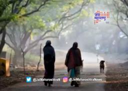 नाशिककरांना गुलाबी थंडीची चाहुल