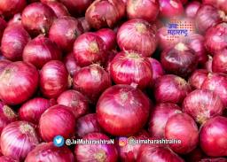 बदलत्या हवामानाचा कांदा पिकाला फटका