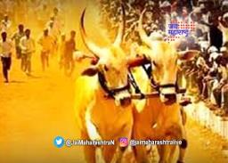 बैलगाडा शर्यतींवर निर्णय