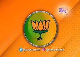 भाजपाच्या पराभवाची कारणे काय ?
