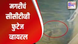 मगर सीसीटीव्हीत चित्रित