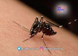कोल्हापूरात ‘झिका’ चे संकट