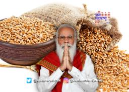 मोदी सरकारने रब्बी पिकांचा हमीभाव वाढवला