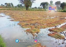 राज्यात काही ठिकाणी पावसाचे थैमान