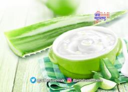वापरा ‘हा’ हेअर मास्क; केस होतील सुळसुळीत