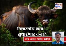 विचारतोय गवा… सुधारणार कवा?