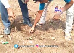 शेतकऱ्यांवर दुबार पेरणीचे  संकट