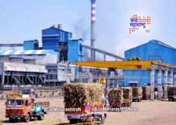 साखरेच्या निर्यातीवर १ जूनपासून बंदी