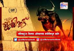 ‘जलिकट्टू’ हा चित्रपट ऑस्करच्या शर्यतीमधून बाहेर